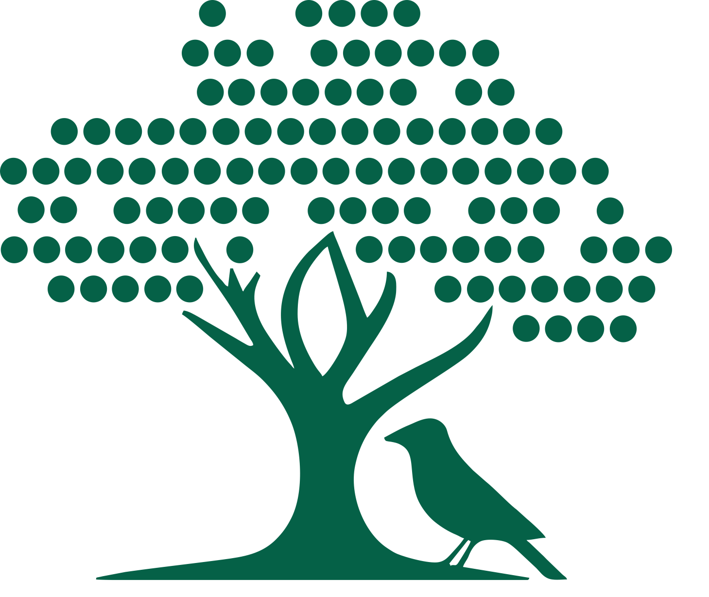 AfricaNova Group Logo